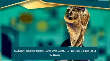 عاجل اليوم.. تردد قنوات الكأس 2025 لدليل متابعة رياضتك المفضلة بسهولة
